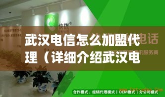 武漢電信加盟代理全指南 詳細(xì)流程、條件與移動(dòng)電信業(yè)務(wù)代理服務(wù)解析